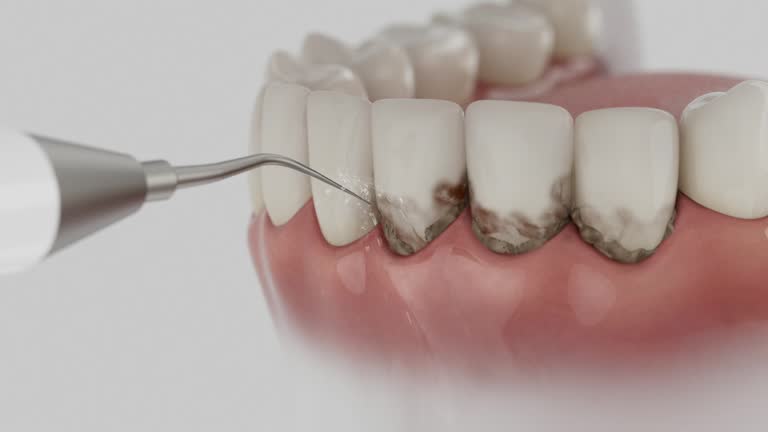 Reliable Dental contractor in La Porte, TX by Dentist Open Now